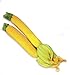 foto Giallo Semi Zucchini Zucchino estivo, pacchetto originale, 8 semi / Pack, Heirloom Cucurbita Pepo Vegetable Seeds # B005 nuovo bestseller 2025-2024