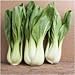 foto Pacchetto di 300 semi, Pak Choi bianco Stem Semenza di cavolo (Brassica rapa) nuovo bestseller 2024-2023