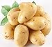 foto PlenTree 120 pezzi di patate Semi Antirughe nutrizione verde vegetale per il giardino domestico che pianta i semi di patate assorbendo la radiazione nuovo bestseller 2024-2023