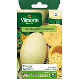 Vilmorin - Bustina semi Zucca Spaghetti foto, bestseller 2025-2024 nuovo, miglior prezzo EUR 3,95 recensione