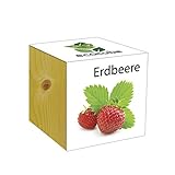 ecocube - Cubo in legno, motivo: fragole foto, bestseller 2025-2024 nuovo, miglior prezzo EUR 13,14 recensione