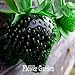 foto Nuovi semi dolce 100 Semi / Seeds Semi Borsa frutta nera fragola Bonsai Piante per la casa e giardino vaso da giardino fragole, # JQPRZP nuovo bestseller 2025-2024