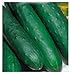 foto 180 C.ca Semi Cetriolo Palomar - Cucumis Sativus In Confezione Originale Prodotto in Italia - Cetrioli nuovo bestseller 2024-2023