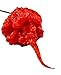 foto 50 SEMI DI PEPERONCINO CAROLINA REAPER HP22B GUINNESS WORLD RECORD COME PIU' PICCANTE AL MONDO nuovo bestseller 2025-2024