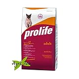 Prolife Gatto 12 kg Manzo e Riso foto, bestseller 2025-2024 nuovo, miglior prezzo EUR 39,90 recensione