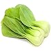 foto Pak Choi Bok choi Cavolo cinese semi sani semi vegetali biologici per giardino di casa, ad alto rendimento facile da coltivare 100 semi nuovo bestseller 2024-2023