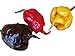 foto 30 SEMI DI PEPERONCINO CAROLINA REAPER RED CHOCOLATE E YELLOW GUINNESS WORLD RECORD COME PIU' PICCANTE AL MONDO nuovo bestseller 2025-2024