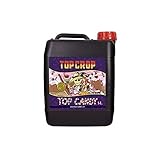 Top Crop - Top Candy - 5L foto, bestseller 2025-2024 nuovo, miglior prezzo EUR 31,30 recensione