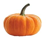 Semi di zucca giganti - Cucurbita maxima foto, bestseller 2025-2024 nuovo, miglior prezzo EUR 4,16 recensione