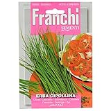 ERBA CIPOLLINA foto, bestseller 2025-2024 nuovo, miglior prezzo EUR 7,10 recensione