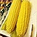 foto Auntwhale Super Sweet Corn Seeds 50G Installato nuovo bestseller 2025-2024