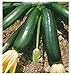 foto 36 C.ca Semi Zucchino Nero Di Milano - Cucurbita Pepo In Confezione Originale Prodotto in Italia - Zucchine nere nuovo bestseller 2025-2024