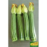 ZUCCHINO ROMANESCO NR.40 SEMI foto, bestseller 2025-2024 nuovo, miglior prezzo EUR 2,00 recensione