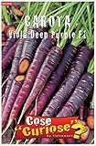 Semi - Carota Viola (Deep Purple F1) foto, bestseller 2025-2024 nuovo, miglior prezzo EUR 4,40 recensione