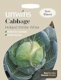 Unwins Pictorial pacco – cavolo Holland Winter bianco – 200 semi foto, bestseller 2025-2024 nuovo, miglior prezzo EUR 1,66 recensione