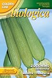 ZUCCHINO GENOVESE SEMENTE BIOLOGICA BUSTA foto, bestseller 2025-2024 nuovo, miglior prezzo EUR 3,32 recensione