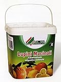 LUPINI MACINATI DA 3 KG foto, bestseller 2025-2024 nuovo, miglior prezzo EUR 16,90 recensione