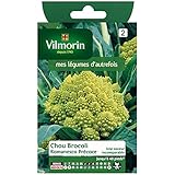 Vilmorin - Cavolo Broccolo Romanesco precoce foto, bestseller 2024-2023 nuovo, miglior prezzo  recensione