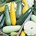 foto Shoppy Star: Shoppy Stella: immobiliare Melody Mix 100 semi-Golden Zucchini, Black Beauty, Grigio Zucchini, pettine nuovo bestseller 2025-2024