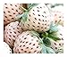 foto Exotic Plants bianco fragola - - 30 semi nuovo bestseller 2025-2024