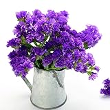 Semi di Static Purple - Limonium sinuatum foto, bestseller 2024-2023 nuovo, miglior prezzo EUR 10,99 recensione