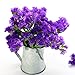 foto Semi di Static Purple - Limonium sinuatum nuovo bestseller 2024-2023