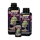 Bonsai Focus 1L - Growth Technology foto, bestseller 2025-2024 nuovo, miglior prezzo EUR 7,25 recensione