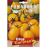 Semi - Pomodoro ciliegino giallo - Cherry yellow foto, bestseller 2025-2024 nuovo, miglior prezzo EUR 6,35 recensione