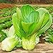 foto 200pcs Shanghai Verde Pak Choi Semi pakchoi cavolo Brassica Campestris Vegetable Seeds giardino domestico di DIY pianta nuovo bestseller 2024-2023