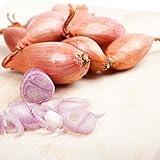 Semi di scalogno - Allium cepa foto, bestseller 2025-2024 nuovo, miglior prezzo EUR 3,44 recensione