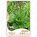 foto Garden Chinese semi di cavolo verdure, 10g / sacchetto del bambino cibo home & garden Semi di piante nuovo bestseller 2024-2023