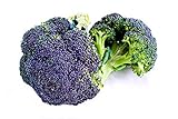 Broccoli Miranda semi - Brassica oleracea foto, bestseller 2025-2024 nuovo, miglior prezzo EUR 4,66 recensione