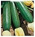 foto 40 C.ca Semi Zucchino Ambassador Hybrid - Cucurbita Pepo In Confezione Originale Prodotto in Italia - Zucchine nuovo bestseller 2025-2024