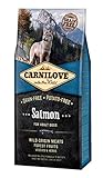 CARNILOVE Salmone 12 kg foto, bestseller 2025-2024 nuovo, miglior prezzo EUR 57,00 recensione