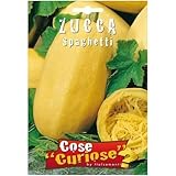 Semi - Zucca Spaghetti foto, bestseller 2025-2024 nuovo, miglior prezzo EUR 4,99 recensione