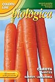 CAROTA NANTESE BIO foto, bestseller 2025-2024 nuovo, miglior prezzo EUR 3,32 recensione