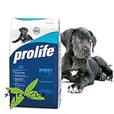 Prolife Puppy Giant 12 Kilogramm foto, bestseller 2025-2024 nuovo, miglior prezzo EUR 44,75 recensione