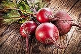 Semi di barbabietola - Beta vulgaris var. conditiva foto, bestseller 2025-2024 nuovo, miglior prezzo EUR 3,39 recensione