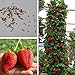 foto Ncient 20/50/100 Semi Sementi di Fragola Strawberry Trepa Semi Frutti Frutta Rari Profumati per Orto Giardino Balcone Interni ed Esterni nuovo bestseller 2025-2024