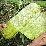 Semi Zucca Luffa foto, bestseller 2024-2023 nuovo, miglior prezzo EUR 7,39 recensione