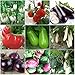 foto Plentree Green Eggplant 30 semi: Heirloom Orto Melanzana semi non OGM Seeds Bianco sopravvivenza organici nuovo bestseller 2025-2024