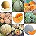 foto Portal Cool 11: 20 Pz/borsa Semi di melone Delicious Melone Seeds Home Garden Plants Btl8 nuovo bestseller 2025-2024