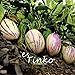 foto 15PCS Pepino semi Solanum Muricatum melone pera frutta & verdura semi bonsai Home Garden Plant DIY spedizione gratuita nuovo bestseller 2025-2024