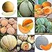 foto Portal Cool 09: 20 Pz/borsa Semi di melone Delicious Melone Seeds Home Garden Plants Ehe8 02 nuovo bestseller 2025-2024