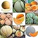 foto Portal Cool 11: 20Pcs / Bag Semi di melone Delicious Melone Seeds Home Garden Plants Fruit Rr6 01 nuovo bestseller 2025-2024