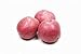 Photo Seed Potatoes for Planting Russet - 5 lb new bestseller 2024-2023