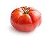 Photo Beefsteak Heirloom Tomato Seeds for Planting Home Garden - Vegetable Seeds - Beefsteak Tomatoes new bestseller 2024-2023