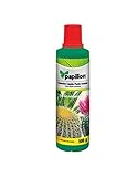 Abono Liquido Papillon Cactus 0,5 Kg Foto, éxito de ventas 2025-2024 nuevo, mejor precio 8,16 € revisión