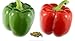 Photo RDR Seeds 100 California Wonder Sweet Pepper Seeds for Planting - Heirloom Non-GMO Pepper Seeds for Planting - Bell Pepper Matures from Green to Red new bestseller 2024-2023