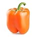 Photo Orange Sun Sweet Bell Pepper Seeds, 100 Heirloom Seeds Per Packet, Non GMO Seeds, Botanical Name: Capsicum annuum, Isla's Garden Seeds new bestseller 2024-2023